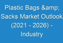 Plastic Bags & Sacks Market Outlook (2024 – 2026) – Industry Growth Factors, Market Revenue and More
