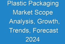 Plastic Packaging Market Scope Analysis, Growth, Trends, Forecast 2024