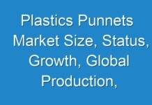 Plastics Punnets Market Size, Status, Growth, Global Production, Demand and Business Outlook 2027