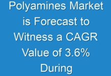 Polyamines Market is Forecast to Witness a CAGR Value of 3.6% During Forecast Period 2024-2030