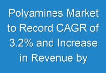 Polyamines Market to Record CAGR of 3.2% and Increase in Revenue by 2030