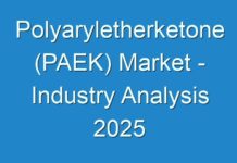 Polyaryletherketone (PAEK) Market – Industry Analysis 2025