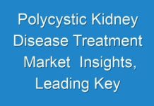 Polycystic Kidney Disease Treatment Market Insights, Leading Key Players And Top Factors Driving 2018–2028