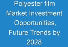 Polyester film Market Investment Opportunities, Future Trends by 2028
