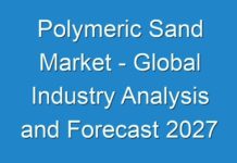 Polymeric Sand Market – Global Industry Analysis and Forecast 2027