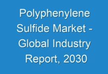 Polyphenylene Sulfide Market – Global Industry Report, 2030