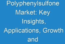 Polyphenylsulfone Market: Key Insights, Applications, Growth and Driving Opportunities