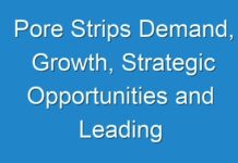 Pore Strips Demand, Growth, Strategic Opportunities and Leading Players Forecast To 2026
