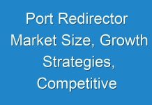 Port Redirector Market Size, Growth Strategies, Competitive Landscape, Factor Analysis, 2024–2027
