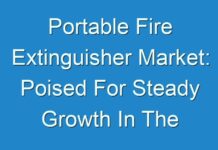 Portable Fire Extinguisher Market: Poised For Steady Growth In The Future 2019 – 2027