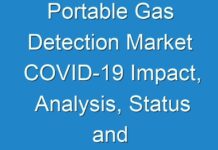 Portable Gas Detection Market COVID-19 Impact, Analysis, Status and Leading Global Companies 2024-2030