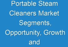 Portable Steam Cleaners Market Segments, Opportunity, Growth and Forecast by End-use Industry 2018-2028