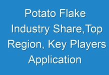 Potato Flake Industry Share,Top Region, Key Players Application ,Status And Forecast