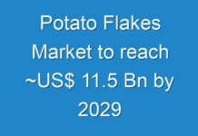 Potato Flakes Market to reach ~US$ 11.5 Bn by 2029