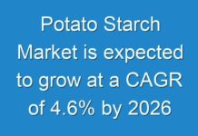 Potato Starch Market is expected to grow at a CAGR of 4.6% by 2026