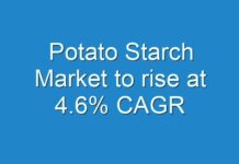 Potato Starch Market to rise at 4.6% CAGR