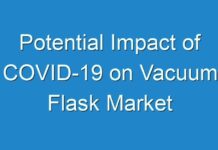 Potential Impact of COVID-19 on Vacuum Flask Market