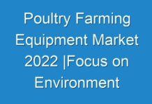Poultry Farming Equipment Market 2024 |Focus on Environment Sustainability and Quality of Poultry Products to Boost Market Growth