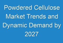 Powdered Cellulose Market Trends and Dynamic Demand by 2027