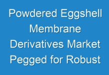 Powdered Eggshell Membrane Derivatives Market Pegged for Robust Expansion During 2031