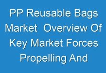PP Reusable Bags Market Overview Of Key Market Forces Propelling And Restraining Market Growth 2017 – 2025