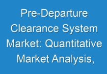 Pre-Departure Clearance System Market: Quantitative Market Analysis, Current and Future Trends 2030