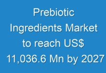 Prebiotic Ingredients Market to reach US$ 11,036.6 Mn by 2027