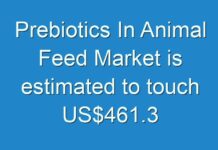 Prebiotics In Animal Feed Market is estimated to touch US$461.3 million with 11.9% CAGR by 2019
