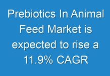 Prebiotics In Animal Feed Market is expected to rise a 11.9% CAGR from 2013 to 2029
