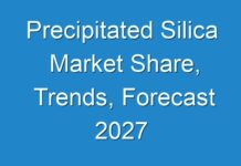 Precipitated Silica Market Share, Trends, Forecast 2027