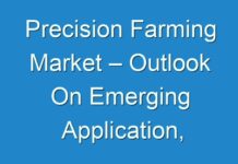 Precision Farming Market – Outlook On Emerging Application, Revolutionary Trends & Potential Growth Strategies 2029