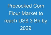 Precooked Corn Flour Market to reach US$ 3 Bn by 2029