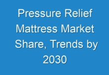 Pressure Relief Mattress Market Share, Trends by 2030
