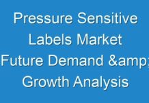 Pressure Sensitive Labels Market Future Demand & Growth Analysis with Forecast up to 2024