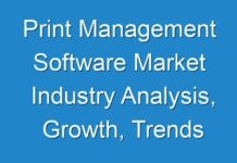 Print Management Software Market Industry Analysis, Growth, Trends 2026