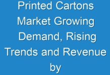 Printed Cartons Market Growing Demand, Rising Trends and Revenue by Region 2024-2030