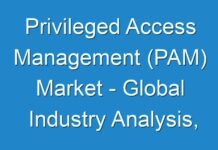 Privileged Access Management (PAM) Market – Global Industry Analysis, Growth, Trends, and Forecast by 2030