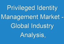 Privileged Identity Management Market – Global Industry Analysis, Size, Share, Growth 2030
