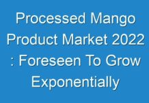 Processed Mango Product Market 2024 : Foreseen To Grow Exponentially Over 2030