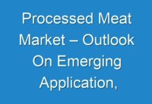 Processed Meat Market – Outlook On Emerging Application, Revolutionary Trends & Potential Growth Strategies 2030