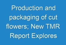 Production and packaging of cut flowers; New TMR Report Explores Impact of COVID-19 Outbreak on Market
