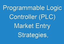 Programmable Logic Controller (PLC) Market Entry Strategies, Countermeasures of Economic Impact and Marketing Channels To 2025