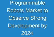 Programmable Robots Market to Observe Strong Development by 2024