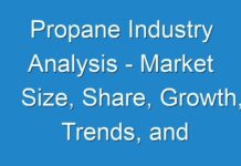 Propane Industry Analysis – Market Size, Share, Growth, Trends, and Forecast 2019 – 2027
