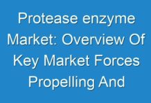 Protease enzyme Market: Overview Of Key Market Forces Propelling And Restraining Market Growth 2028