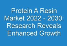 Protein A Resin Market 2024 – 2030: Research Reveals Enhanced Growth During The Forecast Period