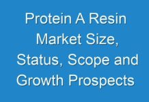 Protein A Resin Market Size, Status, Scope and Growth Prospects 2024-2030