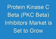 Protein Kinase C Beta (PKC Beta) Inhibitors Market is Set to Grow According to Latest Research