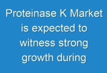 Proteinase K Market is expected to witness strong growth during 2019-2027