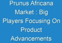 Prunus Africana Market : Big Players Focusing On Product Advancements For Business Expansion 2028